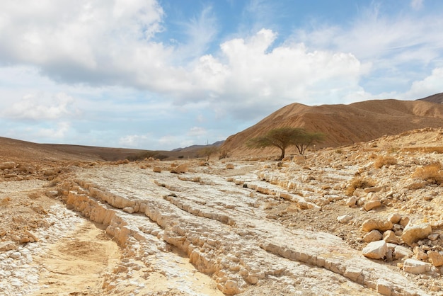 Paysage de montagnes dans le désert d'Arava Israël