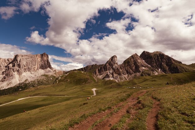 Photo paysage de montagnes enfumées avec filtre vintage rétro
