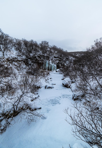 Paysage et montagnes enneigées d'Islande avec la cascade gelée de Svartifoss au loin