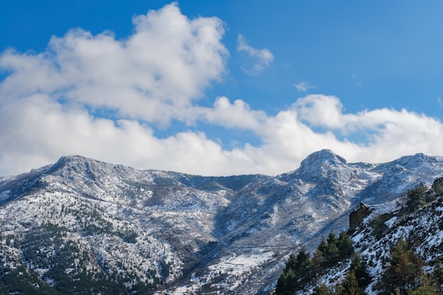 paysage avec des montagnes enneigées