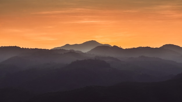 Paysage de montagnes forestières au coucher du soleil