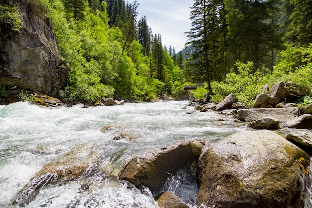 paysage de montagnes et de forêt et une petite rivière