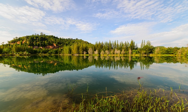 Paysage avec montagnes, forêt et rivière en face