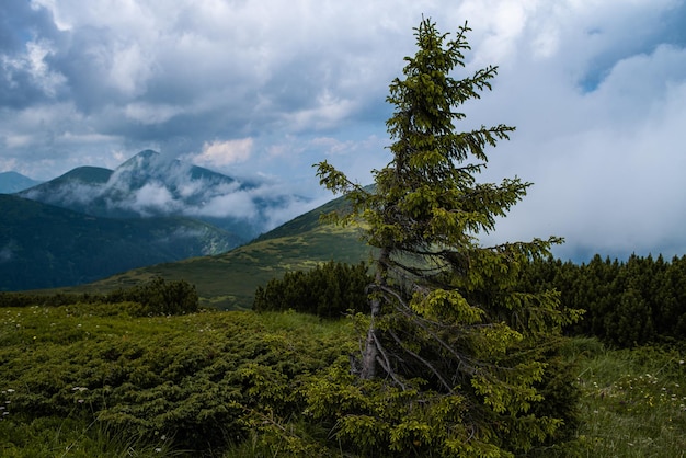 Paysage avec montagnes et nuages. Rochers. Destination touristique de randonnée