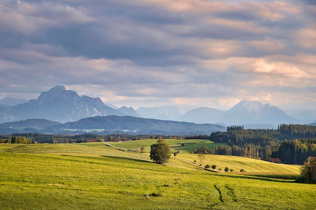 paysage avec montagnes et nuages