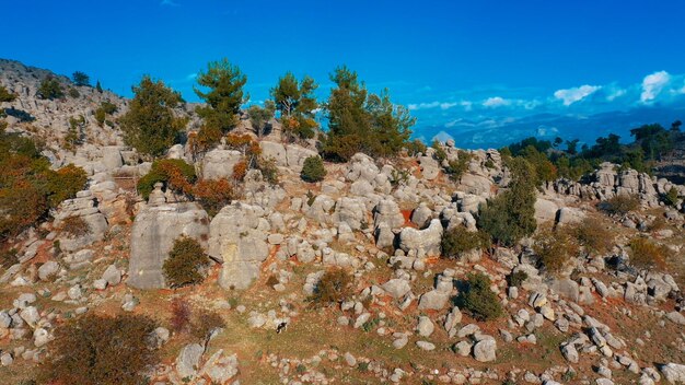 Paysage de montagnes pittoresques avec des formations rocheuses et des arbres verts sur fond de ciel bleu panora