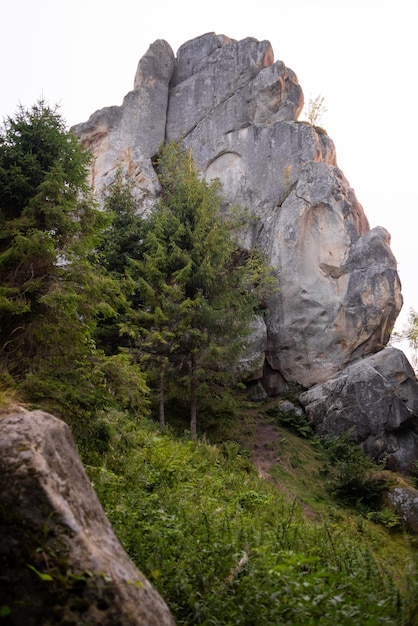 Paysage des montagnes Rocheuses belle nature européenne. Parc national