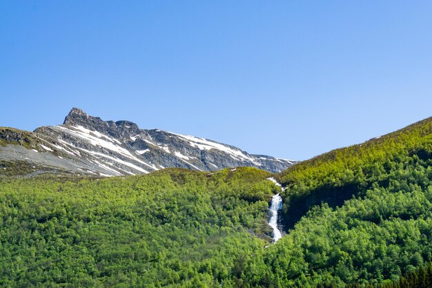 Paysage de montagnes verdoyantes et cascades en Norvège