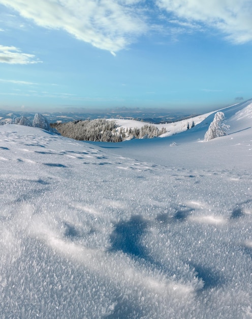 Paysage montagneux enneigé d'hiver