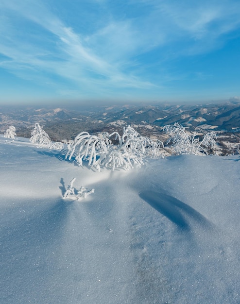 Paysage montagneux enneigé d'hiver