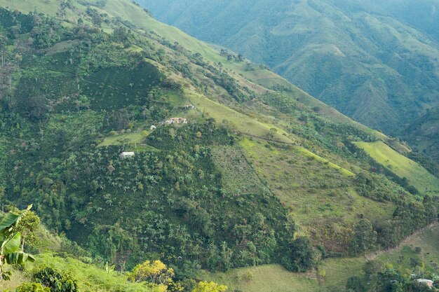 Photo paysage montagneux de fermes de café localisation à liborina antioquia