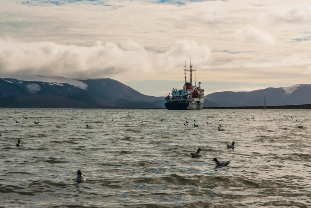 Paysage montagneux sur l'île de la Déception Antarctique