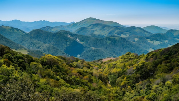 Un paysage montagneux pittoresque avec une verdure luxuriante sous un ciel dégagé