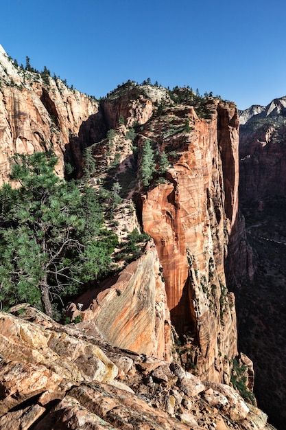 Paysage de Mountain Rodge dans le parc national de Zion, USA