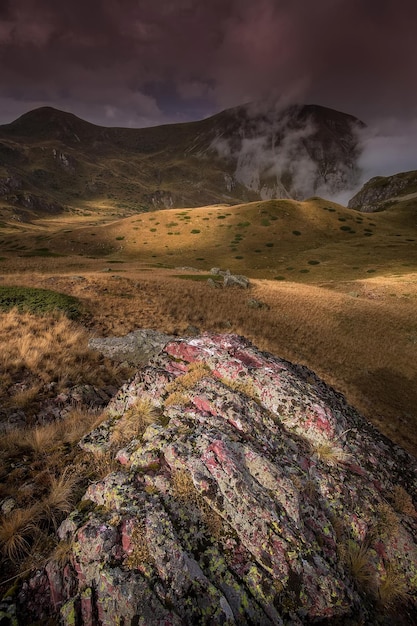 Le paysage mystique de la montagne brumeuse en automne