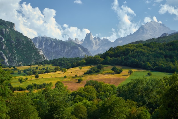 Paysage de Naranjo de Bulnes de Pozo de la Oracion dans les Asturies