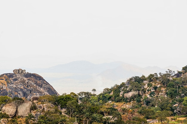 Photo paysage de nature africaine avec un ciel clair