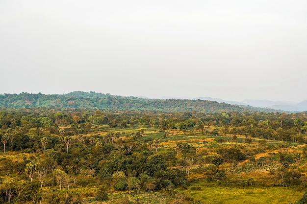 Paysage de nature africaine avec un ciel clair