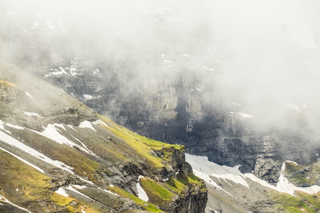 paysage de nature dans le brouillard en Suisse