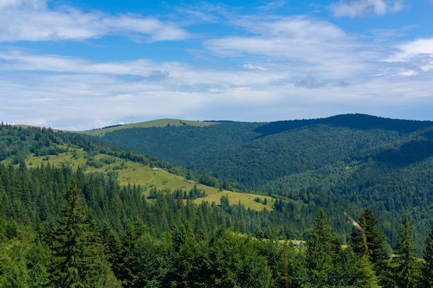 Paysage nature d'été des montagnes Karpaty.