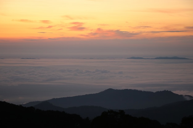 Paysage nature mer brouillard en hiver saisonnier calme et beau