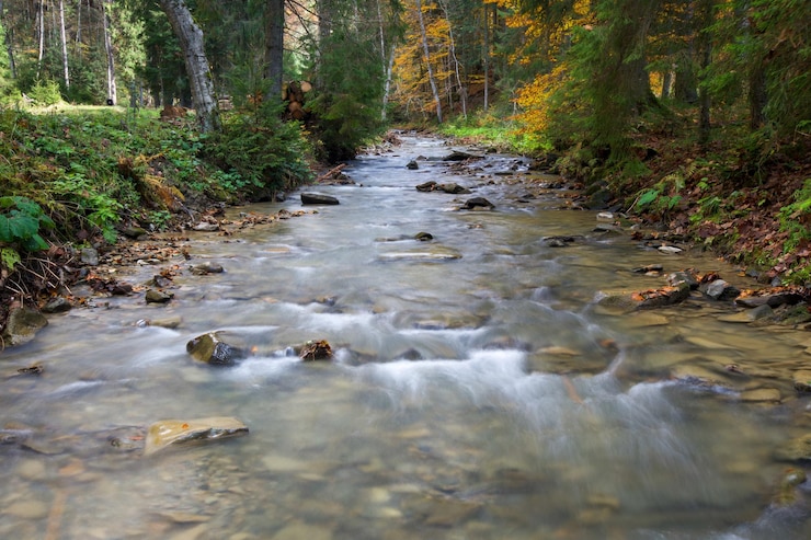 Photo le paysage - la nature