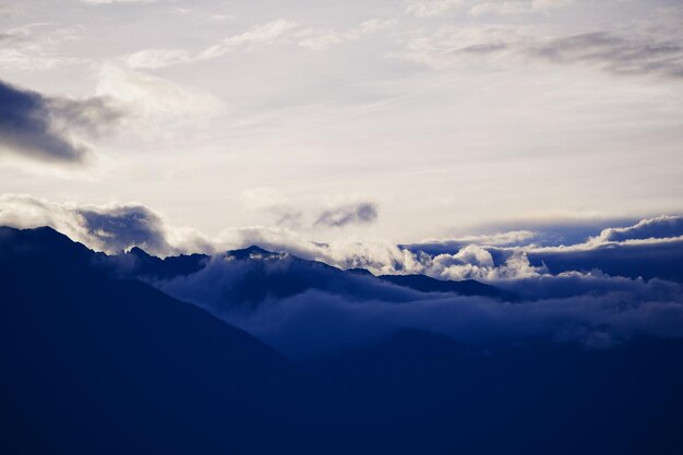 le paysage - la nature