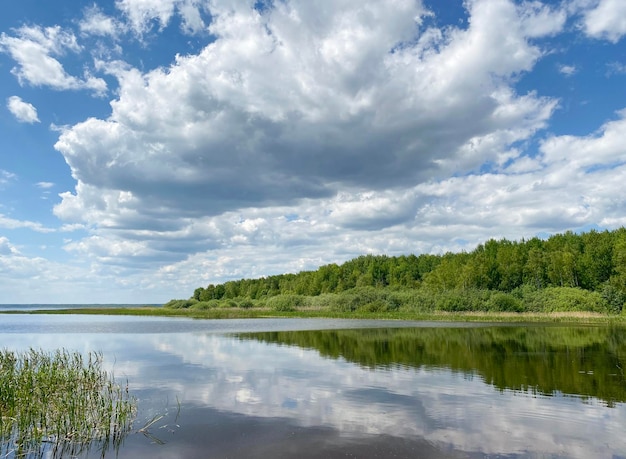 Paysage naturel au bord du lac avec des arbres verts sans personnes par temps nuageux