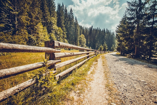 Paysage Naturel D'automne. Route Vide Avec Clôture En Bois Dans La Forêt De Pins. Trekking Dans Les Montagnes Des Carpates, Ukraine. Paysage Naturel. Fond De Voyage. Filtre Tonifiant Vintage.