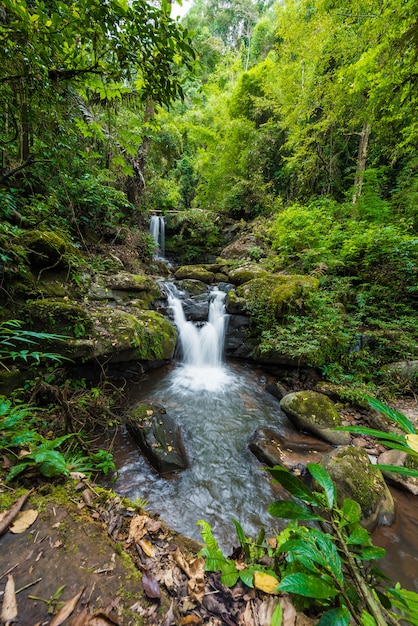 Paysage naturel de la cascade Sapan au village Sapan, district de Boklua