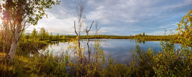 Paysage naturel du lac forêt d'automne