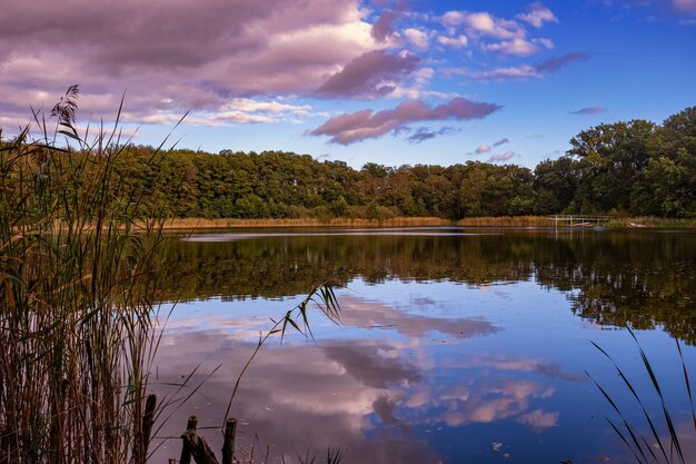 Photo paysage naturel du lac haute définition le mouvement des vagues sur fond de forêt d'automne le reflet des nuages sur les ondulations de l'eau allemagne