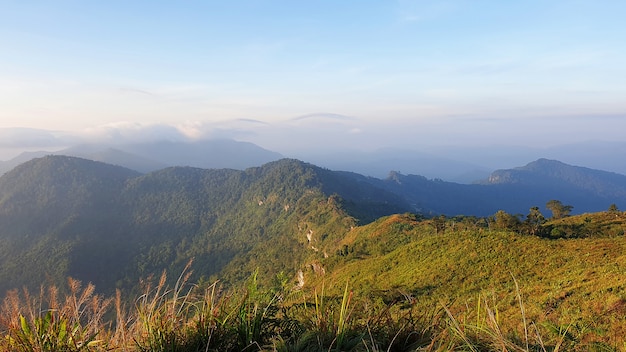 Paysage Naturel Du Parc Forestier De Phu Chi Fa à Chiang Rai, Province La Plus Septentrionale De Thaila