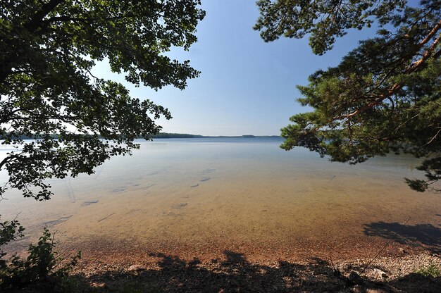 Paysage naturel d'été sur le lac Beloe