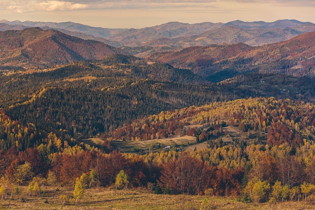 paysage naturel de la forêt d'automne et des montagnes