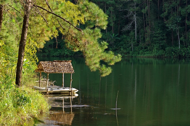 Paysage naturel avec une forêt autour d'un lac