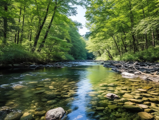 Un paysage naturel humide et fluide