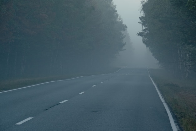 Paysage naturel incroyable avec des arbres et une route goudronnée dans le brouillard du matin. Une route éloignée menant à travers le brouillard dense de la forêt