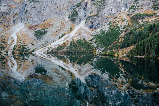 Un paysage naturel incroyable dans les montagnes Birch rocheux sur le lac Morskie Oko dans les hautes montagnes des Tatra en Pologne