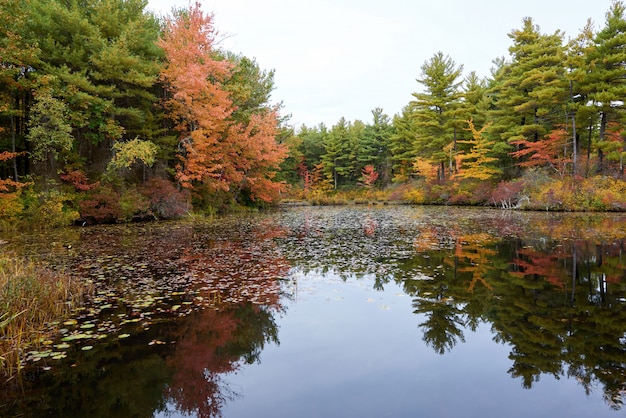 Paysage naturel un jour d'automne