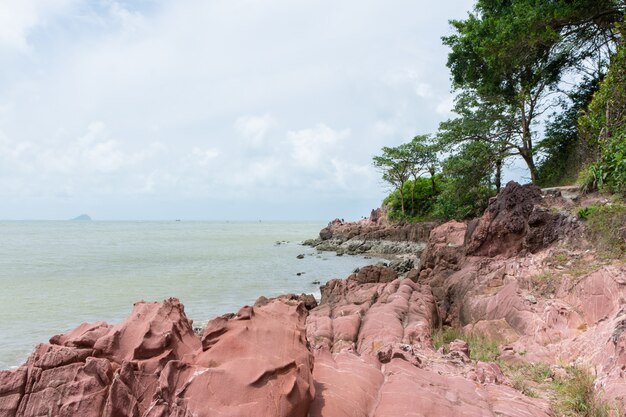 Paysage naturel, littoral et rochers