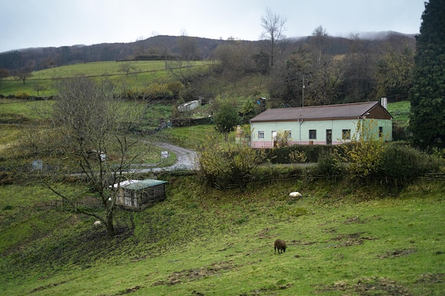 Paysage naturel avec maisons