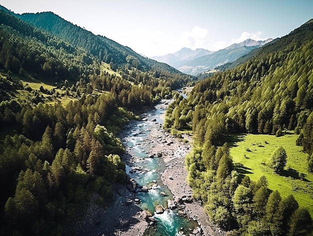 Paysage naturel avec montagnes fluviales et forêt