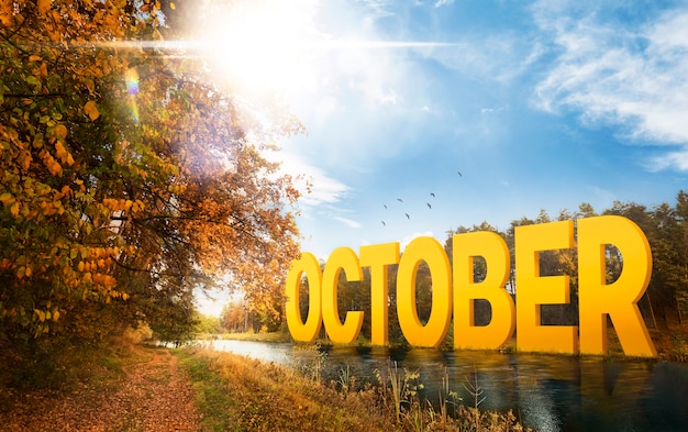Paysage naturel d'octobre avec des feuilles d'automne colorées