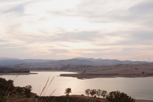 Paysage naturel avec végétation