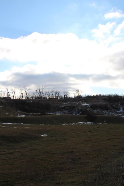 Photo un paysage avec de la neige et des arbres