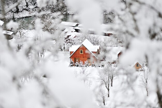 paysage de neige