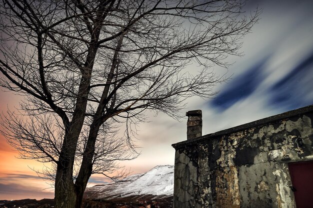 Paysage nocturne d'hiver