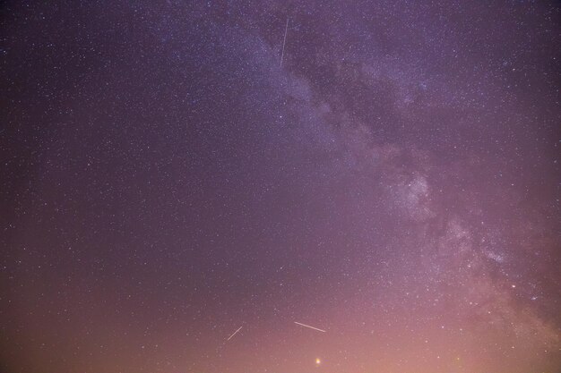 Paysage nocturne Prairie d'étoiles et un arbre Tons violets et chauds