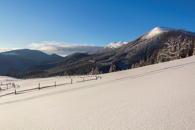 Paysage de Noël d'hiver de la vallée de la montagne par une journée ensoleillée et glaciale. Couvert de grands sapins givrés dans la neige profonde, crête de montagne sombre et boisée, lueur douce à l'horizon, fond d'espace de copie de ciel bleu.